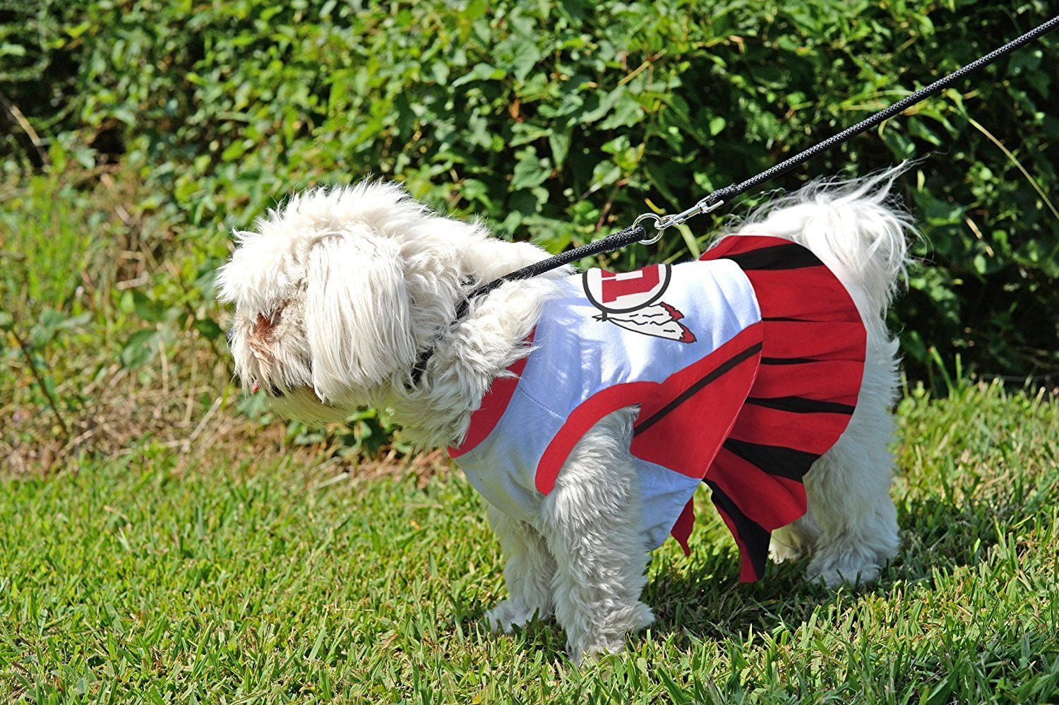 Pets First College Utah Utes Cheerleader, 3 Sizes Pet Dress Available. Licensed Dog Outfit