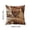 A, variant on 2 Pack 18x18 Inch Cute Sleeping Bunny Rabbits Throw Pillow Covers, Polyester Decorative Cushion Covers for Sofa Bedroom Living Room Spring Easter Home Decor