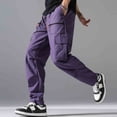 thumbnail image 4 of BVnarty Men's Solid Multi Zipper Pocket Sports Pants Elastic Waist Inner Drawstring Functional Pockets Long Trousers for Outdoor Athletic Activity Purple L, 4 of 9