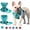 green, variant on BLRTUN Pet Dog Harness for Small Medium Dogs No Pull Puppy Cats Vest Harness Adjustable Reflective Breathable Mesh Lightweight Harnesses Leash Set Escape Proof for Walking Training