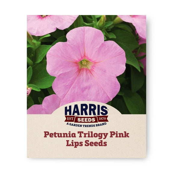 Harris Seeds - Petunia Trilogy Pink Lips F1 Seeds - Early Blooming - 100 Seeds
