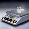 2 g Gram Calibration Weight Precision Jewelry Scale Digital Pocket