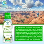 Tropical Oasis Ionized Trace Minerals Supplement, Liquid Vitamin Supplement, 74 Plant Derived Essentials and Minerals, Tropical Fruit Flavor, 16 oz, 32 Servings