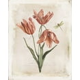 thumbnail image 2 of Pertiet, Katie 26x32 Gold Ornate Wood Framed with Double Matting Museum Art Print Titled - Antiquarian Blooms III, 2 of 4