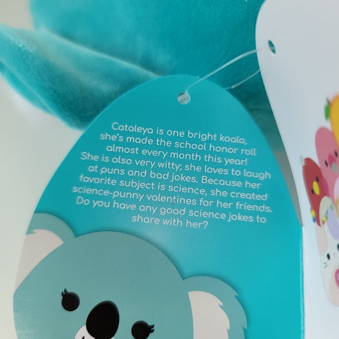 Details about   KellyToy Cataleya The Koala 11” Valentine's Day Squishmallow 2021 NWT 