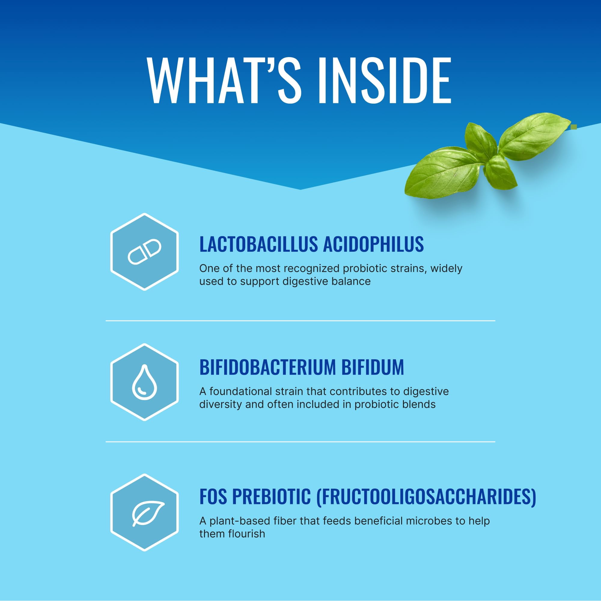 Approved Science Probiotic with Prebiotic - 10 Strains - 25 Billion CFU - 3 Bottles - Vegan