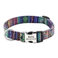 thumbnail image 2 of Didog Personalized Nylon Pet Dog Collar Engraved ID Name Adjustable Small Medium Large, 2 of 12