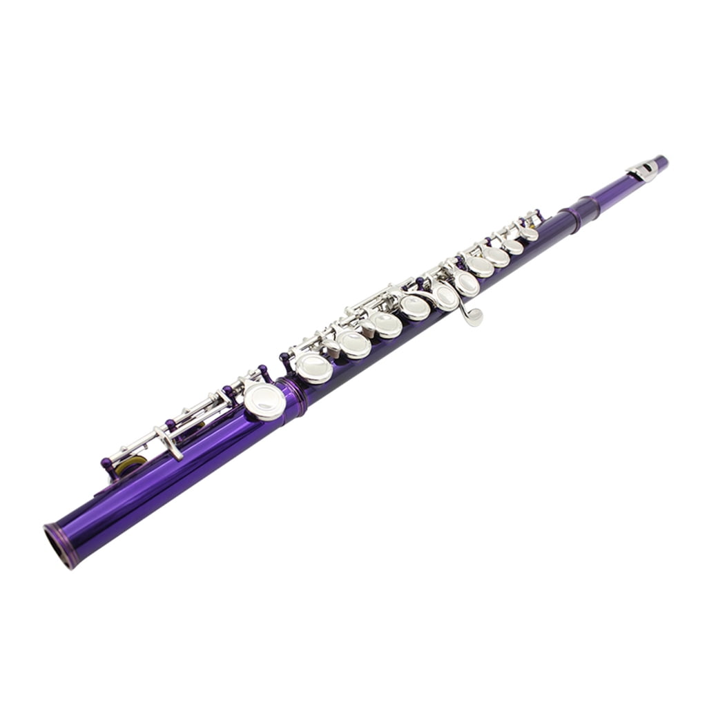 Closed Hole C Flute 16 Keys Flutes Professional Horizontal Flute With Bag Cloth Stick Woodwind Instrument