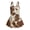 Brown Cow, variant on Girl One Piece Running Horse Swimsuit with Skirt Animal Bathing Suit with Inner Shorts Swimwear 3-16Y (5-6 Years)