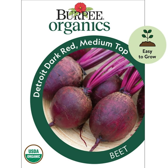 Burpee Organic Medium Top Detroit Dark Red Beet Vegetable Seed, Annual Lifecycle, Full Sun