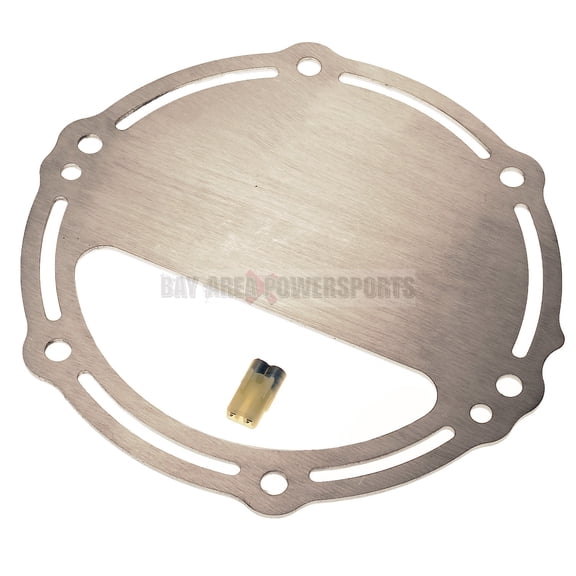 Yamaha Catalytic D Plate & Cat Removal Chip GPR XL XLT 1200 1300 Waverunner