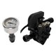 thumbnail image 2 of Bombas de agua de alta presión con cabezal de salida M22 mm y manómetro, accesorios portátiles, entrada M25,5 mm para suelos de patio., 2 of 8