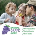 thumbnail image 5 of Dr. Talbot's Homeopathic Infant Daily Allergy Relief with Cell Salts, Grape, 4 fl oz, 5 of 11