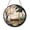 Acrylic 3.5 Inch, variant on Round Garden Swing Stained Glass Style Window Decor