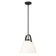 thumbnail image 4 of 743P12-BN-Z-Lite-Z-Studio - 1 Light Pendant In Farmhouse Style-14 Inches Tall and 12.5 Inches Wide-Brushed Nickel Finish, 4 of 7