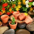 thumbnail image 7 of 1.3 inch Small Terracotta Pots with Drainage Holes,Mini Clay Ceramic Pottery Planter,Cactus Flower Nursery Terra Cotta Pots, for Indoor/Outdoor Succulent Plants, Crafts, Wedding Favor(50 Pack), 7 of 7