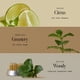 thumbnail image 4 of Hair Essence ANILLO Sunday Refresh Lime con vitamina C 50 ml, 4 of 7