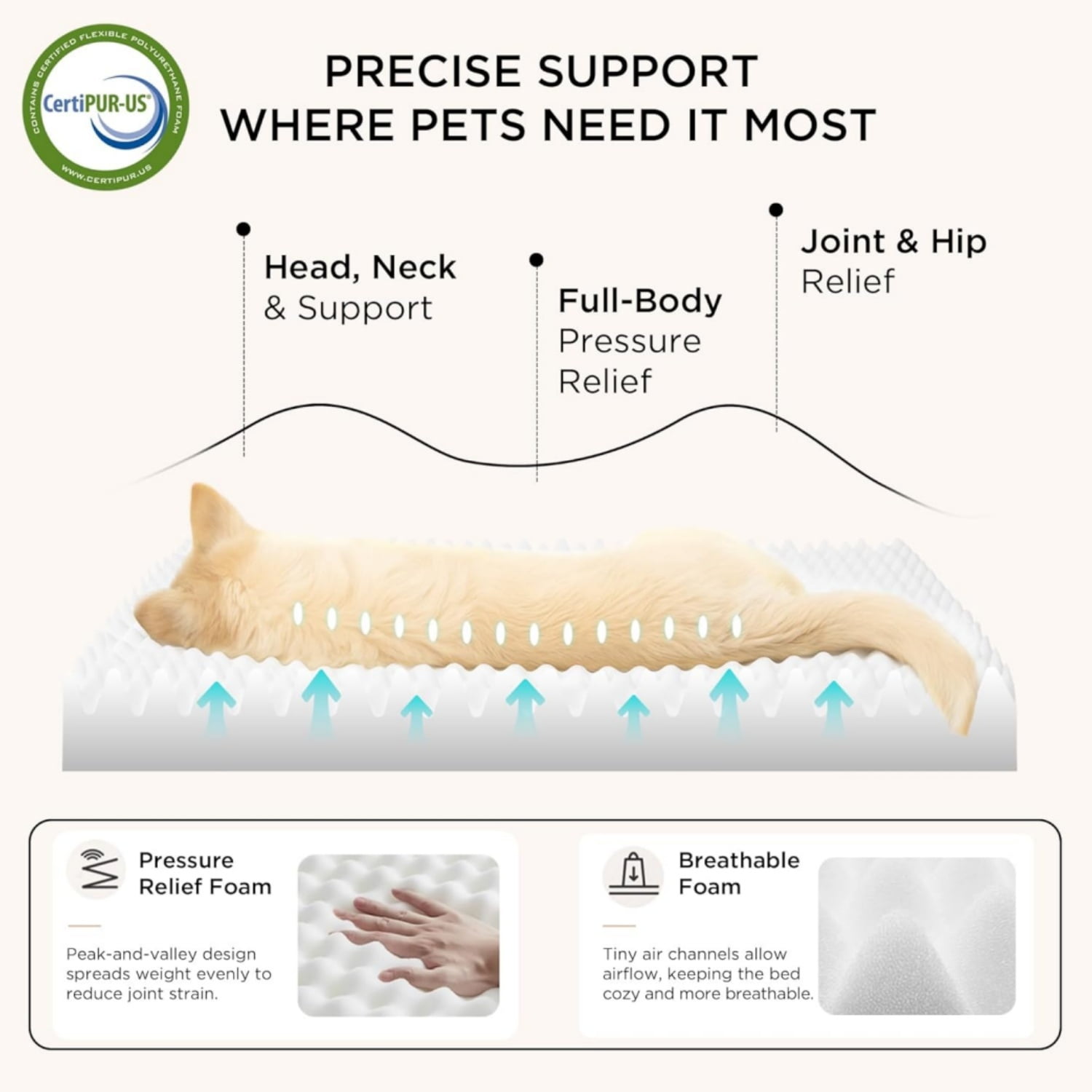 Katieovy Orthopedic Dog Bed for Large Dogs,40*30 inch Large Dog Beds,Washable Dog Beds with Non-Slip Bottom,White