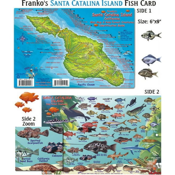 Franko Maps - Santa Catalina Island Fish ID