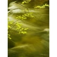 thumbnail image 2 of Soothing Waters VII Poster Print by Vitaly Geyman (18 x 24), 2 of 2