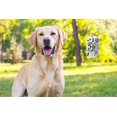 thumbnail image 6 of Labrador Keychain Gifts for Men Dog Dad Dog Lover Pet Owner Dog Dad Funny Birthday Present, 6 of 7