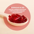 thumbnail image 3 of Nuboost Omega 3 Krill Oil con Astaxantina 2000 mg 60 capsulas - Aceite de Krill - Omega 3 EPA y DHA MADE IN USA, 3 of 5