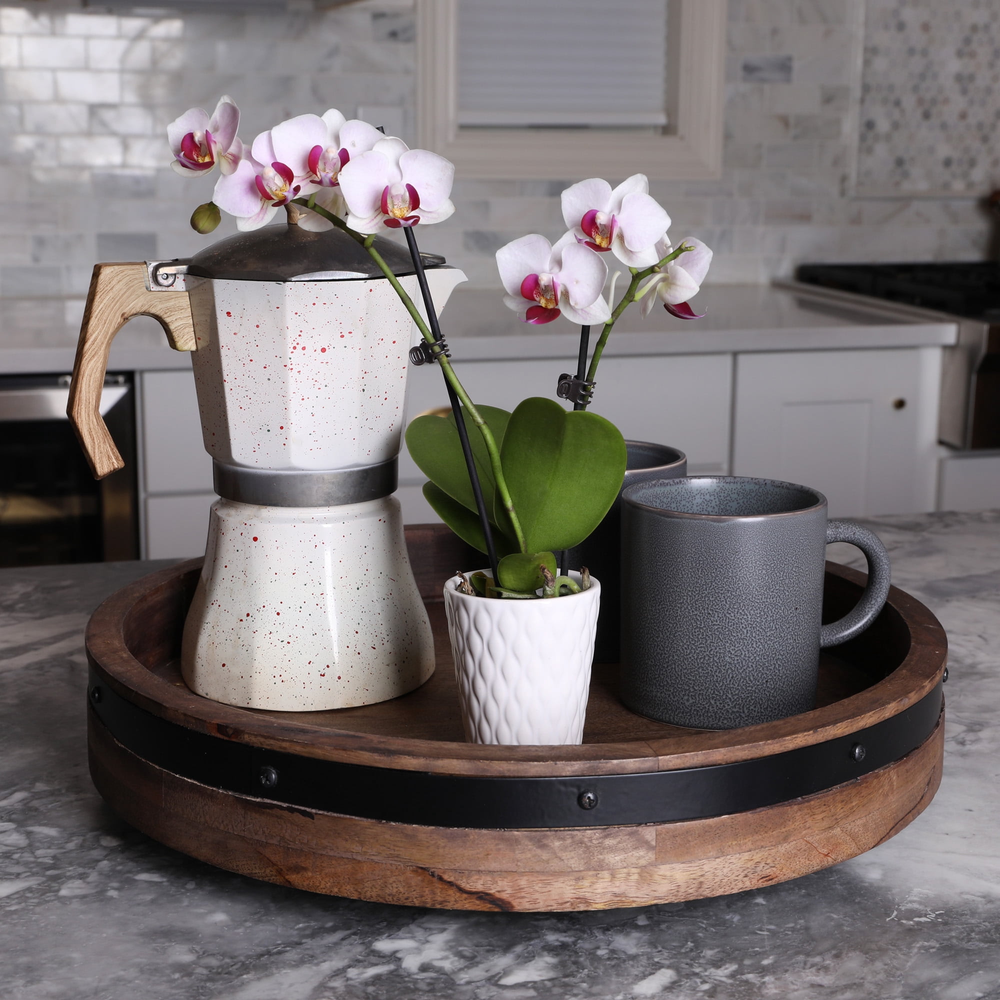 Just Add Ice 6-10" White and Purple Mini Orchid Live Plant in 2.5" White Ceramic Pot, House Plant