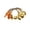 B, variant on Eespoir Halloween LED String Lights, 1.5M Pumpkin Skull Spider Shapes, Warm Glow, Battery Operated, 2 AA Not Included, Indoor Halloween Home Party Light Decor