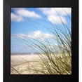 thumbnail image 2 of Colberg, Lisa 20x22 Black Modern Framed Museum Art Print Titled - Beautiful Day, 2 of 5
