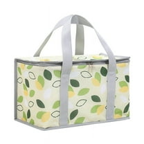 Insulated Picnic Bag Cooler Reusable, Beach Bags with Zippered for Basket