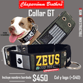 thumbnail image 1 of Collar Indestructible Sin Picos, Para Pitbull y razas fuertes Chaparrömm Brothers Collar GT, 1 of 6