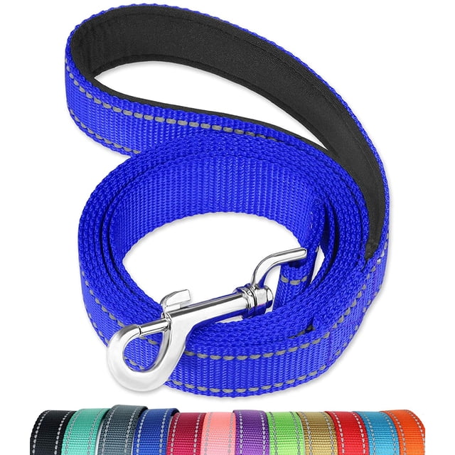 FunTags 4FT Reflective Dog Leash with Soft Padded Handle for Training,Walking Lead for Medium & Small Dogs,3/4 Inch Wide,Royal Blue