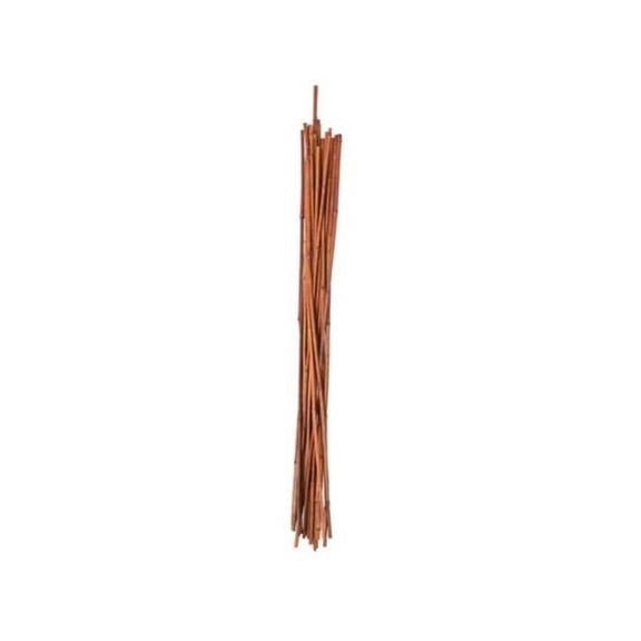 6 ft. Bamboo Garden Stake - Pack of 6