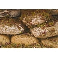 thumbnail image 2 of Flaherty, Dennis 14x11 Gold Ornate Wood Framed with Double Matting Museum Art Print Titled - Italy, Tuscany, Pienza Cheese being seasoned, 2 of 4