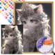 thumbnail image 1 of 5D DIY Taladro Parcial AB Diamante Pintura Gato Princesa 35x45cm, 1 of 9