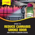 thumbnail image 2 of California Scents Car Air Freshener Spray, Strong Odor Eliminator Variety Pack, 3 Oz Each, 2 Pack, 2 of 7