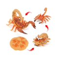 thumbnail image 1 of Alician Modèle de Cycle de Croissance Animal Simulation Jouets Éducatifs pour Enfants, 1 of 7
