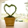thumbnail image 3 of Bamboo Plant Stakes for Garden Use Beige Synthetic Material 200pcs Reusable and Durable 6.3 Inches, 3 of 6
