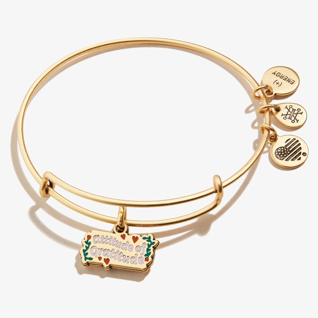 Alex and hotsell ani thankful bracelet