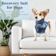 thumbnail image 2 of Traje de recuperación único para perros, traje postquirúrgico, ropa para heridas abdominales y condiciones de la piel, azul grande, 2 of 7