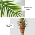 thumbnail image 5 of OLIVIVI Faux Palm Tree 7FT Tall Artificial Silk Plant for Home Office Decor Indoor Outdoor Fake Lifelike Potted Tree with Wood Branches 1 pack, 5 of 14