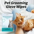 thumbnail image 3 of Pet Disposable Gloves Cat Dog Cleaning Dry Cleaning Gloves Pet Products, 3 of 9