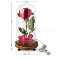 thumbnail image 3 of Kit de rosa de La Bella y la Bestia, rosa y luz LED en cúpula de cristal sobre base de madera para decoración del hogar, cumpleaños, boda, día de San Valentín (rojo) Fokelyi LL-1802, 3 of 6