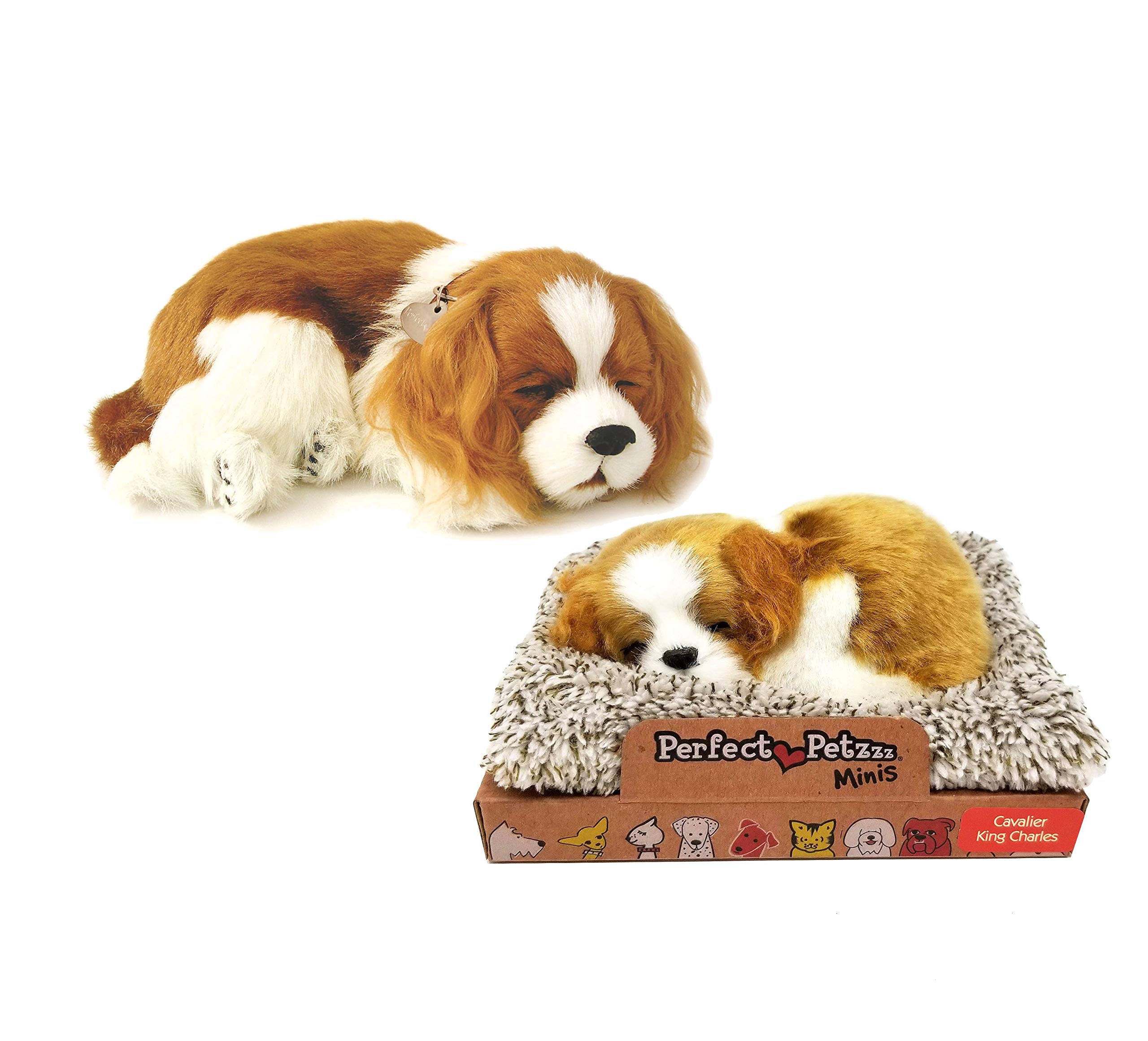 perfect petzzz cavalier king charles plush