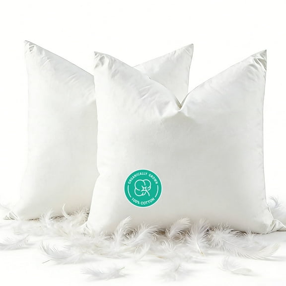 Dafinner Organic Cotton Goose Feather Down Throw Pillow Inserts, 18x18 Inch, Set of 2, Soft & Supportive, Square Decorative Pillow Forms Core for Living Room Couch, Sofa, or Bed