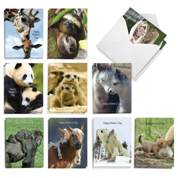 20 Mother's Day Note Cards with Envelopes (4" x 5.12") - Mommy Dearest Mother's Day (10 Designs, 2 Each) AM4961MDG-B2x10