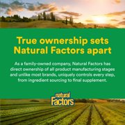 Natural Factors High Potency Multi Enzyme Vegetarian Formula, Plant-Based Digestive Aid, 60 Capsules