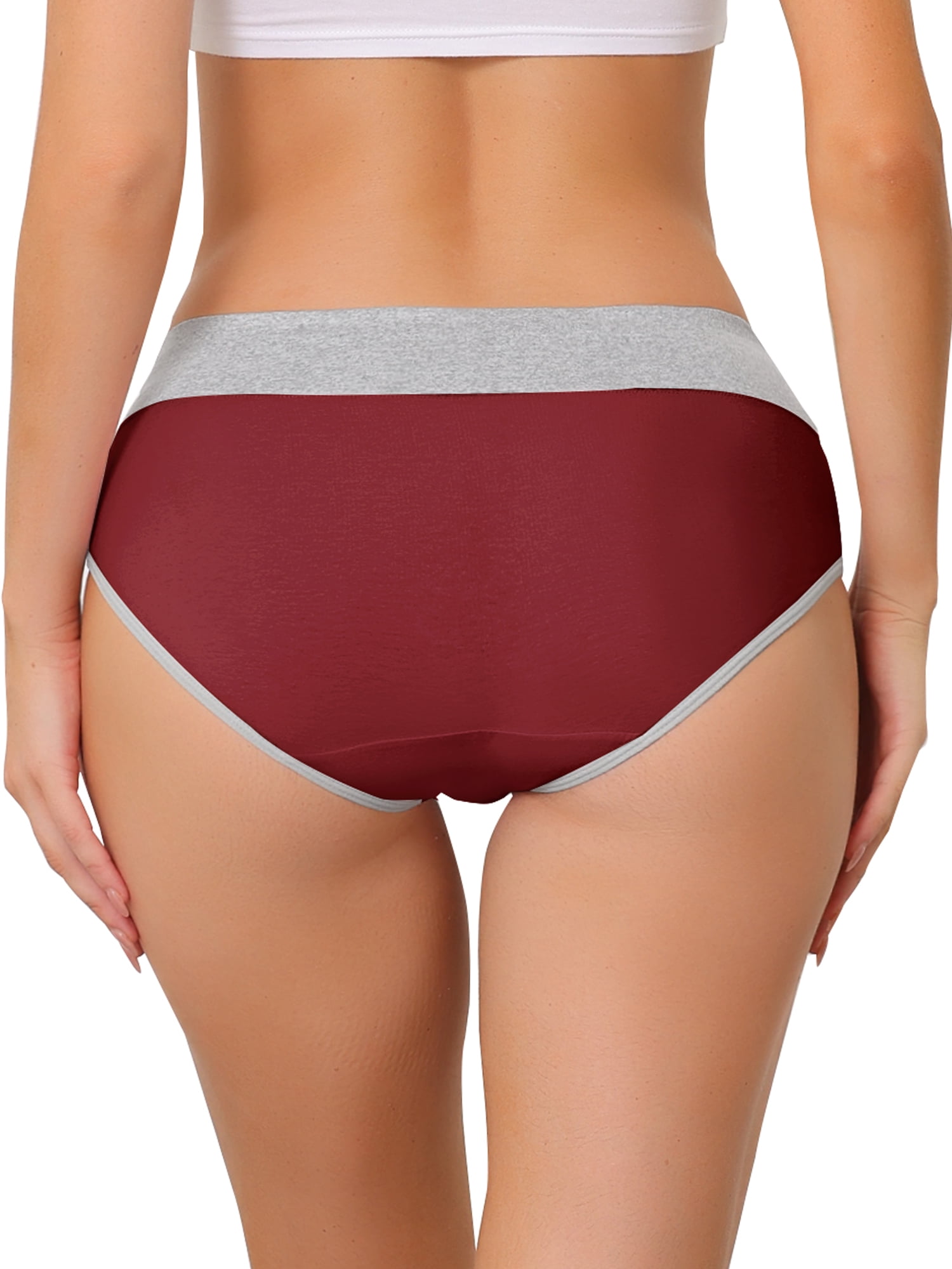 Unique Bargains Women's Plus Size 5 Packs Brief Stretchy Underwear Purple, Burgundy, Orange, Light Pink, Hot Pink 1X