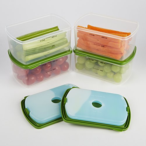 Fit and Fresh 4Piece Salad Shaker with Removable Ice Pack and Dressing