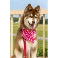 thumbnail image 3 of Red Mountain Syrah Dog Bandana & Matching Keychain, 3 of 5